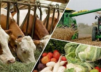 ТҮРКІСТАН ОБЛЫСЫНДА «АУЫЛ АМАНАТЫ» ЖОБАСЫ СӘТТІ ЖҮЗЕГЕ АСТЫ