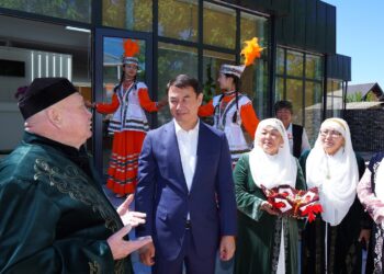 Төлеби ауданына жұмыс сапары облыс әкімінің.