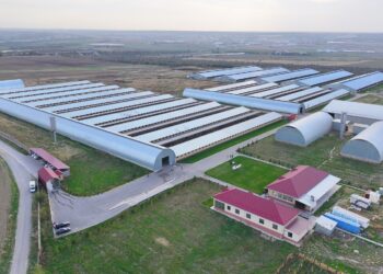 Инвестиция тарту арқылы өндіріс орындарын ашу бағытында жан-жақты жұмыс жүргізілуде Түркістан облысында.