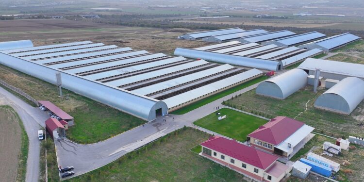 Инвестиция тарту арқылы өндіріс орындарын ашу бағытында жан-жақты жұмыс жүргізілуде Түркістан облысында.