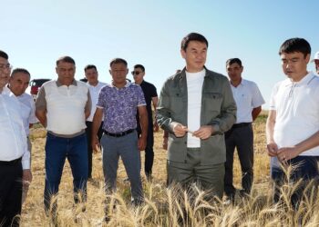 Түркістан облысында биыл ауыл шаруашылығы дақылдары 873 мың гектар жерге егілді.