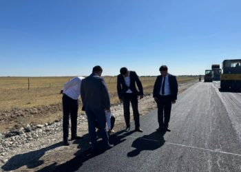 ЖОЛ ҚҰРЫЛЫСЫНЫҢ САПАСЫ БАҚЫЛАУДА САУРАН АУДАНЫНДА