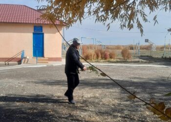 Сауран ауданы Қожанов ауыл клубы тазалық науқанына ат салысуда.