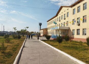 Сауран ауданы. Таза Қазақстан жалғасуда.