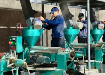 ТҮРКІСТАН ОБЛЫСЫНДА ҚАЙТА ӨҢДЕУ САЛАСЫ ДАМЫП КЕЛЕДІ