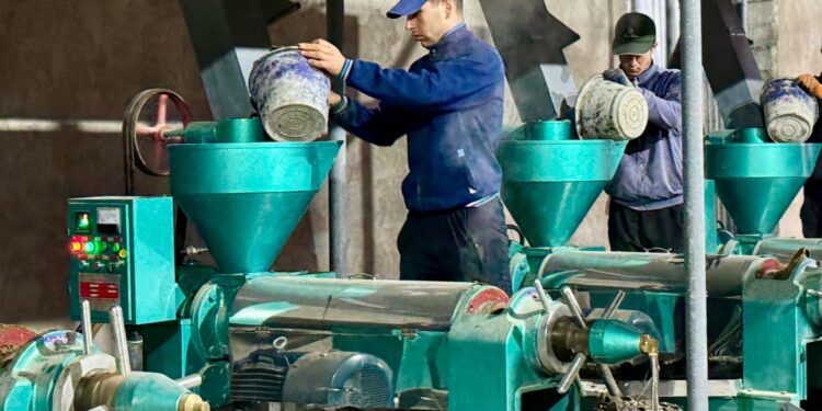 ТҮРКІСТАН ОБЛЫСЫНДА ҚАЙТА ӨҢДЕУ САЛАСЫ ДАМЫП КЕЛЕДІ