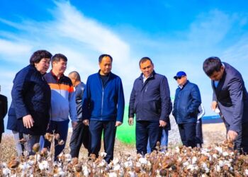 ТҮРКІСТАН: АРЫСТА ТАМШЫЛАТЫП СУАРУ ӘДІСІМЕН МАҚТА ШАРУАШЫЛЫҒЫ ӨРКЕНДЕУДЕ.