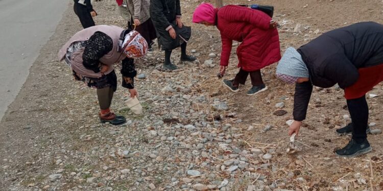 ТАЗА ҚАЗАҚСТАН – ТАЗА АЙМАҚ.