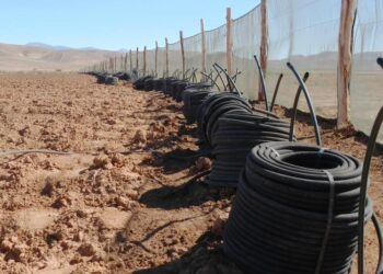 ТҮРКІСТАН: СУ ҮНЕМДЕУ ТЕХНОЛОГИЯСЫН ЕНДІРУГЕ ШЕТЕЛДІК ИНВЕСТОРЛАР ТАРТЫЛМАҚ.