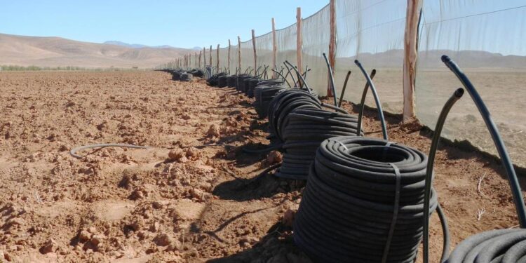 ТҮРКІСТАН: СУ ҮНЕМДЕУ ТЕХНОЛОГИЯСЫН ЕНДІРУГЕ ШЕТЕЛДІК ИНВЕСТОРЛАР ТАРТЫЛМАҚ.