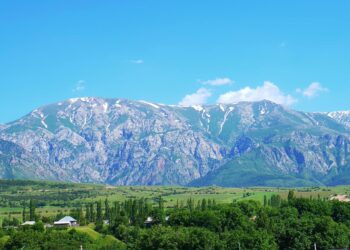 ДАРХАН САТЫБАЛДЫ: «ТӨЛЕБИДІҢ ТУРИСТІК ӘЛЕУЕТІН КӨТЕРУ ҚАЖЕТ»