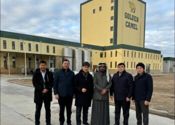 ТҮРКІСТАН: ҚАТАРЛЫҚ ІРІ КОМПАНИЯМЕН ТҮЙЕ БАҒЫТЫН ДАМЫТУ ЖАЙЫ ТАЛҚЫЛАНДЫ.