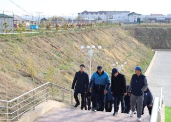 ТҮРКІСТАН: ТӨЛЕБИДЕ 4 МЫҢҒА ЖУЫҚ КӨШЕТ ОТЫРҒЫЗЫЛДЫ.