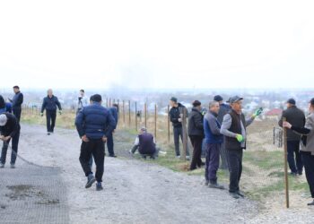 «ТАЗА ҚАЗАҚСТАН»: АРЫСТА ТАЗАЛЫҚ ЖҰМЫСТАРЫ ЖАЛҒАСУДА.