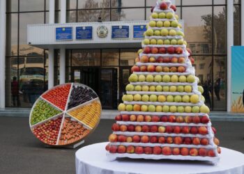 ТҮРКІСТАН: КЕЛЕСТЕ «АЛТЫН КҮЗ — 2024» МЕРЕКЕСІНЕ АРНАЛҒАН ЖӘРМЕҢКЕ ӨТТІ.