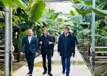 ТҮРКІСТАН: САЙРАМ АУДАНЫНДА АГРОСАЛАДА АУҚЫМДЫ ЖОБАЛАР ЖҮЗЕГЕ АСУДА.