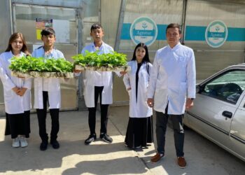 ТҮРКІСТАН ОБЛЫСЫНЫҢ КОЛЛЕДЖ СТУДЕНТТЕРІ ЖЫЛЫЖАЙДА КӨКӨНІС ЕГІП, АЛҚАПТАРДА ТҰТ ӨСІРУДІ МЕҢГЕРУДЕ.