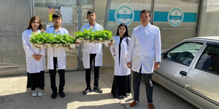 ТҮРКІСТАН ОБЛЫСЫНЫҢ КОЛЛЕДЖ СТУДЕНТТЕРІ ЖЫЛЫЖАЙДА КӨКӨНІС ЕГІП, АЛҚАПТАРДА ТҰТ ӨСІРУДІ МЕҢГЕРУДЕ.