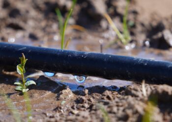 ТҮРКІСТАН ОБЛЫСЫНДА 50 МЫҢ ГЕКТАРҒА СУ ҮНЕМДЕУ ТЕХНОЛОГИЯЛАРЫ ЕНГІЗІЛІП, ОСЫ БАҒЫТТА 3 ӨНДІРІС ОРНЫ АШЫЛДЫ.