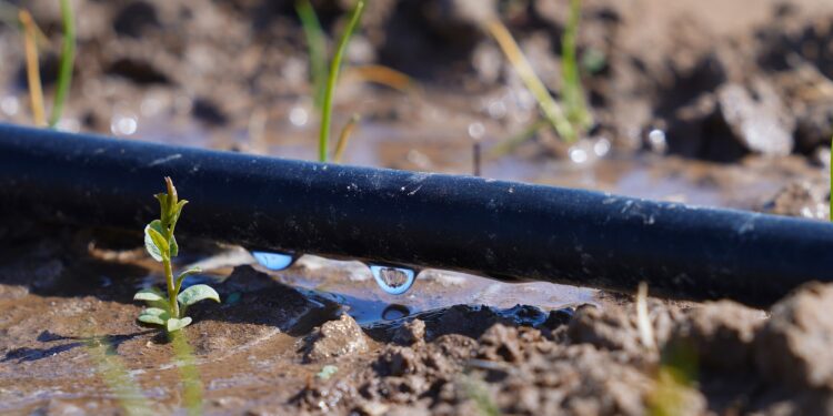 ТҮРКІСТАН ОБЛЫСЫНДА 50 МЫҢ ГЕКТАРҒА СУ ҮНЕМДЕУ ТЕХНОЛОГИЯЛАРЫ ЕНГІЗІЛІП, ОСЫ БАҒЫТТА 3 ӨНДІРІС ОРНЫ АШЫЛДЫ.