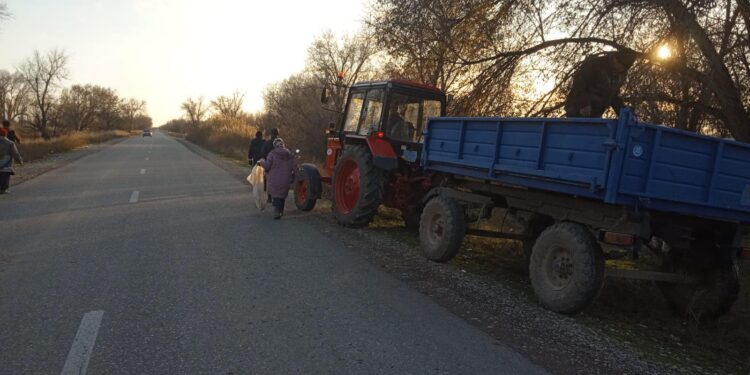 «ТАЗА ҚАЗАҚСТАН» АКЦИЯСЫ ЖАЛҒАСЫН ТАБУДА ОРДАБАСЫ АУДАНЫНДА