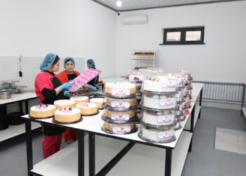 ТҮРКІСТАН ОБЛЫСЫ: САУРАНДА КОНДИТЕРЛІК ЦЕХ АШЫЛДЫ