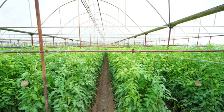 ТҮРКІСТАН ОБЛЫСЫНДА АУЫЛ ШАРУАШЫЛЫҒЫНЫҢ НЕГІЗГІ КАПИТАЛЫНА 130 МЛРД. ТЕҢГЕ ИНВЕСТИЦИЯ ТАРТЫЛДЫ