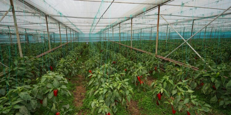 ДАРХАН САТЫБАЛДЫ ШАРУАЛАРМЕН КЕЗДЕСТІ.