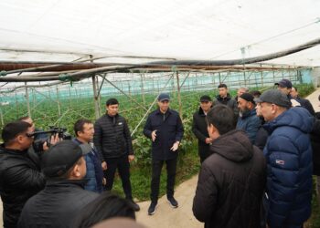 ДАРХАН САТЫБАЛДЫ ШАРУАЛАРМЕН КЕЗДЕСТІ