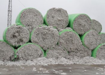 ТҮРКІСТАН: МАҚТААРАЛДА ЖЫЛЫНА 80 МЫҢ ТОННА МАҚТА ТАЛШЫҒЫН ӨНДІРЕТІН ЗАУЫТ АШЫЛДЫ.