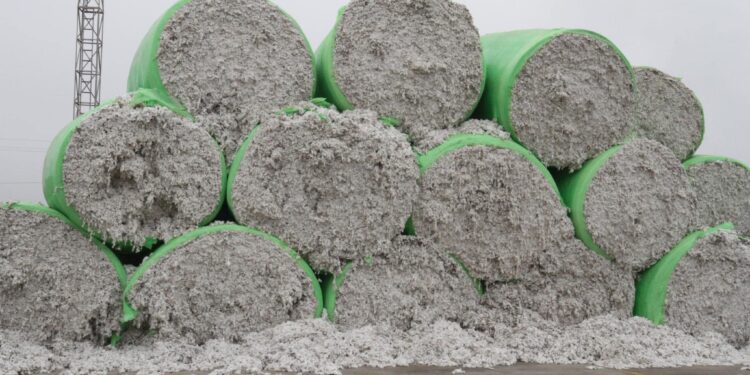 ТҮРКІСТАН: МАҚТААРАЛДА ЖЫЛЫНА 80 МЫҢ ТОННА МАҚТА ТАЛШЫҒЫН ӨНДІРЕТІН ЗАУЫТ АШЫЛДЫ.