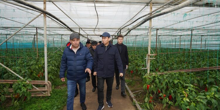 ДАРХАН САТЫБАЛДЫ ШАРУАЛАРМЕН КЕЗДЕСТІ.