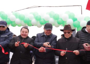 ТҮРКІСТАН: МАҚТААРАЛДА ЖЫЛЫНА 80 МЫҢ ТОННА МАҚТА ТАЛШЫҒЫН ӨНДІРЕТІН ЗАУЫТ АШЫЛДЫ