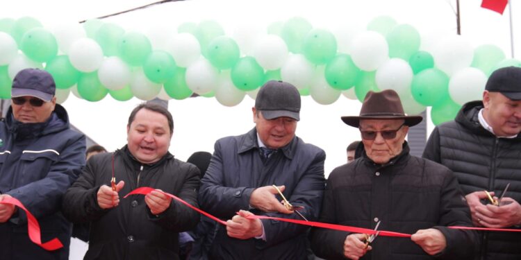 ТҮРКІСТАН: МАҚТААРАЛДА ЖЫЛЫНА 80 МЫҢ ТОННА МАҚТА ТАЛШЫҒЫН ӨНДІРЕТІН ЗАУЫТ АШЫЛДЫ