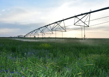 ТҮРКІСТАН ОБЛЫСЫНДА 11 СУ НЫСАНЫНА КҮРДЕЛІ ЖӨНДЕУ ЖҰМЫСТАРЫ ЖҮРГІЗІЛІП ЖАТЫР