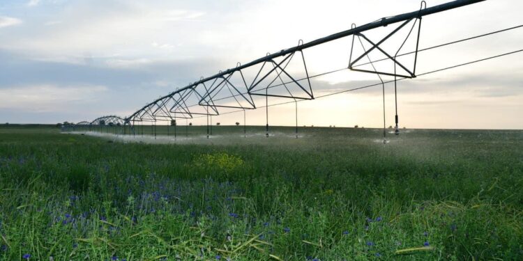 ТҮРКІСТАН ОБЛЫСЫНДА 11 СУ НЫСАНЫНА КҮРДЕЛІ ЖӨНДЕУ ЖҰМЫСТАРЫ ЖҮРГІЗІЛІП ЖАТЫР