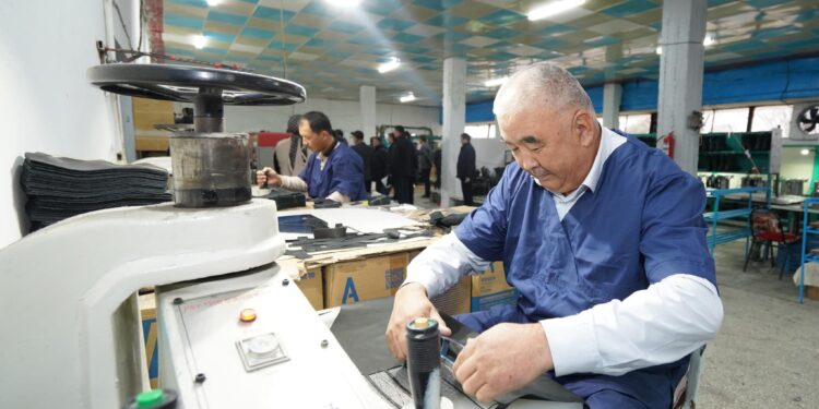 ТҮРКІСТАН: ЖЕТІСАЙДА ТӘУЛІГІНЕ 800 ЖҰП АЯҚ КИІМ ШЫҒАРЫЛАДЫ.