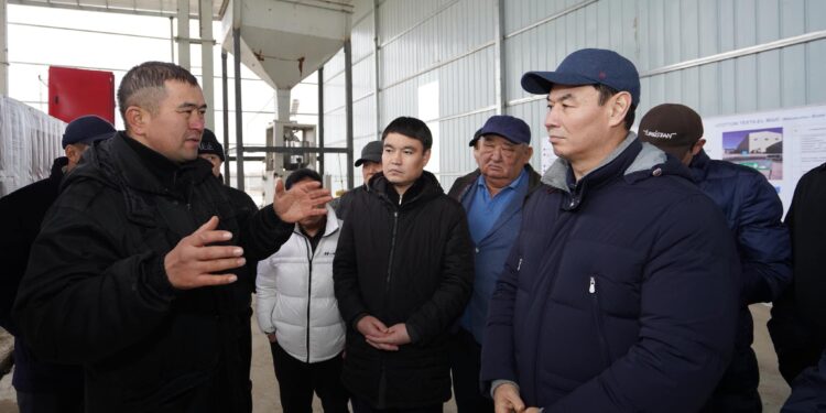 ТҮРКІСТАН: МАҚТААРАЛДАҒЫ ИНДУСТРИАЛДЫ АЙМАҚТА ЖАҢА ӨНДІРІС ОРЫНДАРЫ АШЫЛАДЫ.