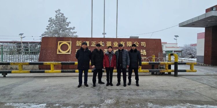 ТҮРКІСТАН: МАҚТААРАЛДЫҚ ДЕЛЕГАЦИЯ ҚЫТАЙДЫҢ ӨНДІРІС ОРЫНДАРЫНЫҢ ЖҰМЫС ТӘСІЛІМЕН ТАНЫСЫП ҚАЙТТЫ.