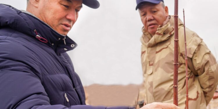 ТҮРКІСТАН: ОБЛЫС ӘКІМІ «ЖАСЫЛ БЕЛДЕУДЕГІ» ЖҰМЫСТАРДЫ ҚАДАҒАЛАДЫ