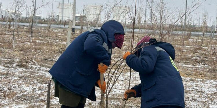 «ТАЗА ҚАЗАҚСТАН»: «ЖАСЫЛ БЕЛДЕУ» АУМАҒЫНДА СЕНБІЛІК ӨТТІ