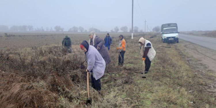 ТҮРКІСТАН: ЖЕТІСАЙДА ТАЗАЛЫҚ ЖҰМЫСТАРЫ ЖҮРГІЗІЛІП, ТҮРЛІ КӨШЕТТЕР ОТЫРҒЫЗЫЛДЫ