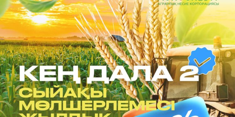 2025 жылғы көктемгі дала жұмыстарын қаржыландыруға «Кең дала 2» бағдарламасы бойынша өтінімдерді қабылдау жүргізілуде.