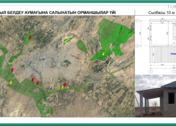 ТҮРКІСТАН: «ЖАСЫЛ БЕЛДЕУ» АУМАҒЫНАН 5 ОРМАНШЫЛАР ҮЙІ САЛЫНЫП ЖАТЫР