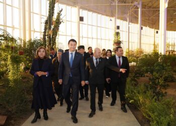 ТҮРКІСТАНДА БОТАНИКАЛЫҚ БАҒЫ БАР «ЖАСТАР» САЯБАҒЫ АШЫЛДЫ.