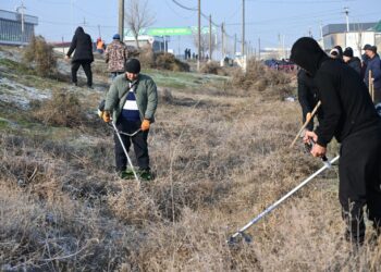 ТАЗА ҚАЗАҚСТАН: ЖЕТІСАЙДА ЖАЛПЫҚАЛАЛЫҚ СЕНБІЛІК ӨТТІ.