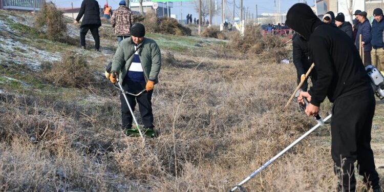 ТАЗА ҚАЗАҚСТАН: ЖЕТІСАЙДА ЖАЛПЫҚАЛАЛЫҚ СЕНБІЛІК ӨТТІ.