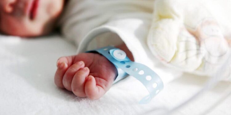 ТҮРКІСТАН ОБЛЫСЫ 2024 ЖЫЛЫ ТУУ КӨРСЕТКІШІ БОЙЫНША БІРІНШІ ОРЫНДА ТҰР.