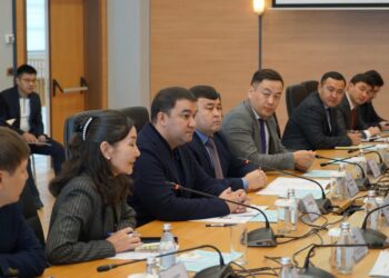 ТҮРКІСТАН: ШЕТЕЛДІК ИНВЕСТОРЛАРМЕН G2В ФОРМАТЫНДА КЕЗДЕСУ ӨТТІ.