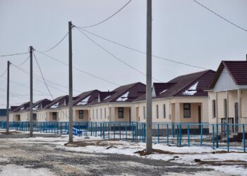 ТҮРКІСТАН ОБЛЫСЫНДА 48 ОТБАСЫ БАСПАНАЛЫ БОЛДЫ.